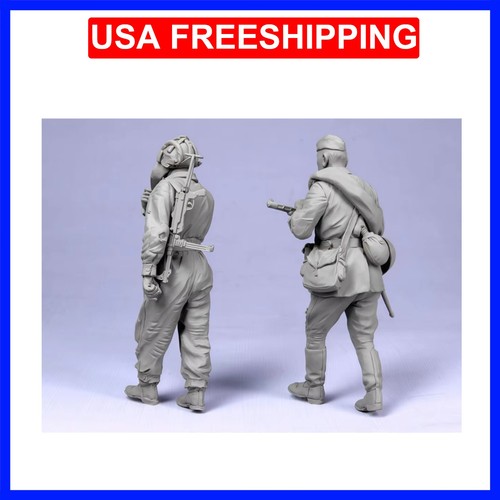 Resin unpainted model - unpainted,